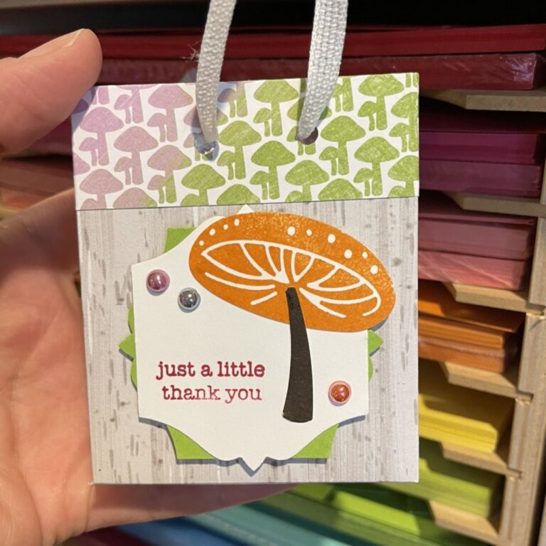 Terrific Toadstool Gift Bag