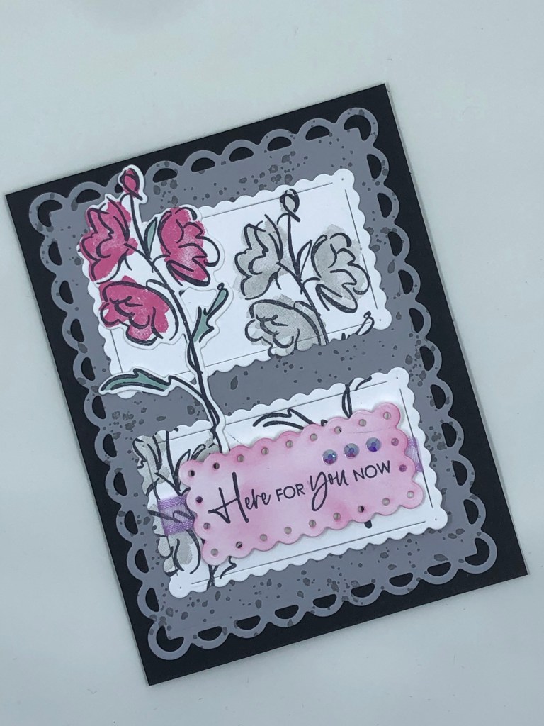 2021-2022 Catalog Sneek Peek