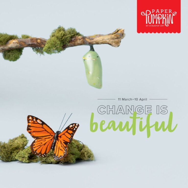 April 2022 Paper Pumpkin Kit